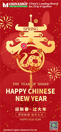  Chinadrip kínai szilveszteri értesítés (2025)